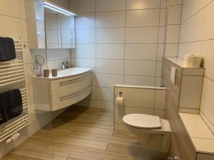 uma casa de banho com um WC, um lavatório e um espelho. em Schusterbrand Appartements em Absam