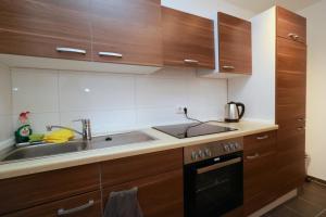 a kitchen with wooden cabinets and a sink at Aparthotel Kompass A 301 in Essen