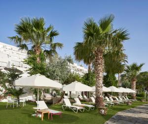 a group of chairs and umbrellas and palm trees at Prive Hotel Bodrum - Adult Only in Bodrum City