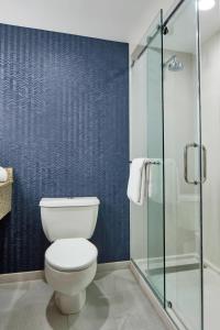 a bathroom with a toilet and a glass shower at Fairfield Inn & Suites by Marriott Albany Airport in Albany