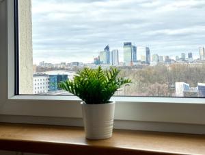 a potted plant sitting on a window sill at K22 Apartments Pole Mokotowskie in Warsaw