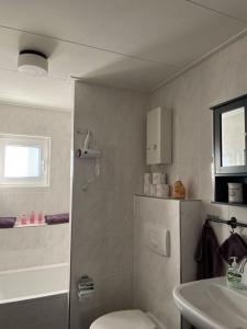 a bathroom with a toilet and a sink at Ferienhaus "Zauberwald" mit Pelletofen & Sauna in Meschede