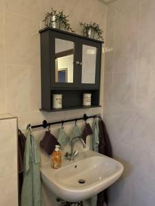 a bathroom with a sink and a mirror at Ferienhaus "Zauberwald" mit Pelletofen & Sauna in Meschede