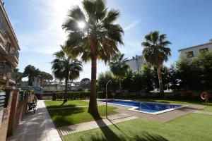 a palm tree in a yard with a swimming pool at Velor Apartamentos Turísticos in Castelldefels