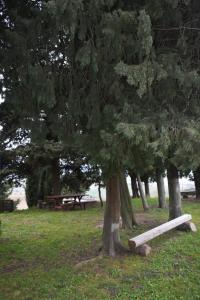 Gallery image of Casa Nolè in Santa Luce