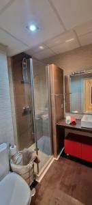 łazienka z prysznicem, toaletą i umywalką w obiekcie LA CASITA DE LA PUERTA DE CARMONA w Sewilli