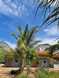 a palm tree in front of a house at Teacher House in Phra Ae beach