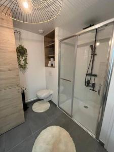 La salle de bains est pourvue d'une douche, de toilettes et d'un tapis. dans l'établissement Petit cocon en hyper-centre, à Reims