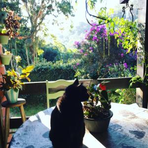 Photo de la galerie de l'établissement Gajah, à Joinville