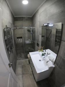 een badkamer met een wastafel en een douche bij Lisbon, renewed T1 apartment with pateo near Martires da Patria in Lissabon