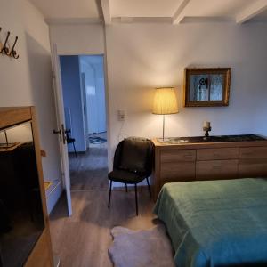 1 dormitorio con 1 cama y escritorio con lámpara en Exklusive Ferienwohnung Hattorfer Teiche, en Wolfsburg