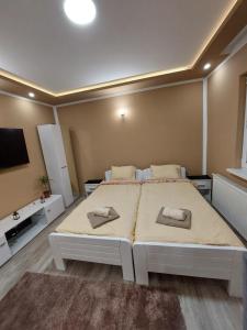 a bedroom with a large bed and a flat screen tv at Stan na Dan Jovanovic in Valjevo