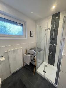 a bathroom with a shower and a glass shower stall at Ferienwohnung Mühlenwarf in Emden