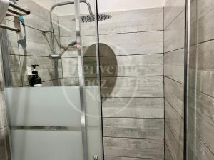 eine Dusche mit Glastür im Bad in der Unterkunft Studio Av thermale Cham (C) in Chamalières