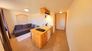 Napkert Apartman في نوسفاج: مطبخ وغرفة معيشة مع أريكة