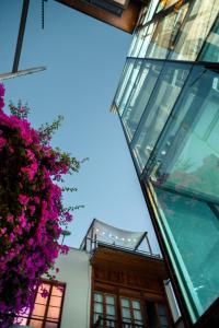 a building with glass windows and a tree with purple flowers at Bella 269 in Santiago