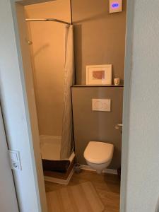 a small bathroom with a toilet and a shower at Apartment am See in Scharbeutz