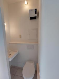 uma pequena casa de banho com WC e lavatório em Le Gîte du Herdal em Profondeville