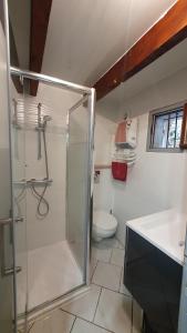 アクス・レ・テルムにあるChalet en Castelのシャワー、洗面台、トイレ付きのバスルーム
