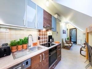 a kitchen with a sink and some plants on the counter at Vanilla Apartment 3 in Krakow