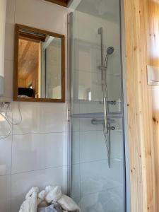 a shower with a glass door in a bathroom at Boerderij De Boshoeve in Sellingen