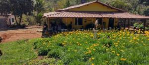 a yellow house with a field of flowers in front of it at Recanto das Aves in Botumirim +16 photos