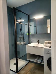 uma casa de banho com um lavatório e uma cabina de duche em vidro. em Appartement T2 Sanary sur mer em Sanary-sur-Mer