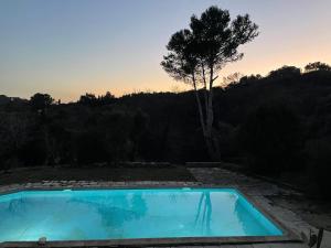 a swimming pool with a tree in the background at Les Terrasses des Gardies in Pignan