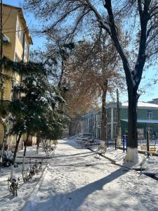 a snow covered street with trees and buildings at Апартамент in Samarkand