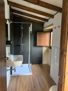 a bathroom with a shower and a sink and a toilet at Lugar do Curro, San Martiño de Ozón in Muxia