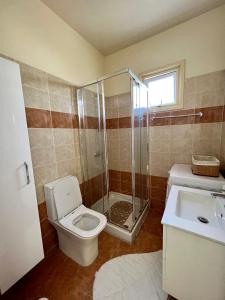 a bathroom with a toilet and a shower and a sink at Carisa Holiday rooms in Larnaca +24 photos