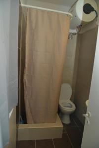 y baño con aseo y cortina de ducha. en little apartment in kanoni en Análipsis
