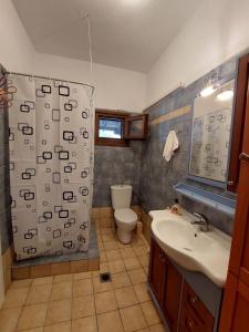 Elli's house في إيريسوس: حمام مع دش ومغسلة ومرحاض