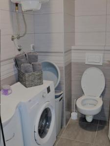 uma casa de banho com uma máquina de lavar roupa e um WC em Apartman Sergej em Sarajevo