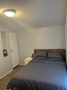 מיטה או מיטות בחדר ב-West Asheville Remodeled Mobile Home
