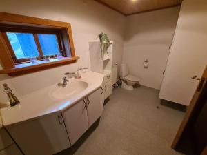 La salle de bains est pourvue d'un lavabo et de toilettes. dans l'établissement Hyggeligt gammelt hus i Vestmanna, à Vestmanna