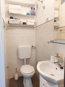 un piccolo bagno con servizi igienici e lavandino di Apartment46 a Mali Lošinj (Lussinpiccolo)