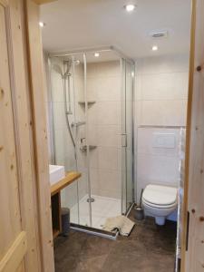 a bathroom with a shower and a toilet at Ferienhaus Innerkienzerhof - Urlaub am Bauernhof in Matrei in Osttirol