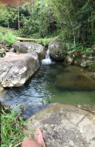 una corriente de agua con rocas en un bosque en Refugio a orilla del Rio, en San Rafael