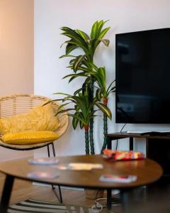 a living room with a coffee table and a tv at Superbe T3 proche centre ville - DABNB in Limoges