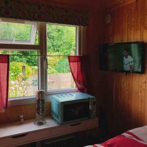 a room with a tv and a microwave and a window at Cosy Private Cabin with parking in good location in Oxford