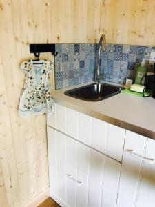 a kitchen with a sink and a counter top at Cosy Private Cabin with parking in good location in Oxford +11 photos