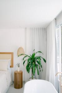 Cama ou camas em um quarto em Olisa Hotel Boutique