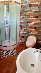 a bathroom with a toilet and a shower and a sink at Hospedaje, Cabañas y Sauna Tunki Lodge in Oxapampa