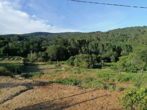 a field with a river and trees in the background at O Lar do Suso in Refojos