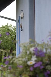 Vonkajšia záhrada v ubytovaní Country house - Slapy/Pazderny