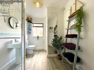 uma casa de banho com um lavatório, um WC e um espelho. em Charming Two Bed house in Central Penzance em Penzance