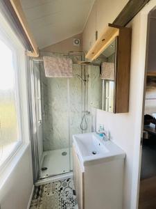 a small bathroom with a sink and a shower at Meadow Retreat in Rhayader