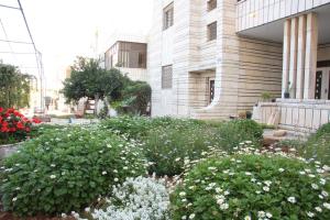 Zahrada ubytování Ramallah Hostel