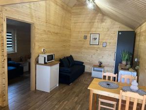 a living room with a couch and a microwave at Domki u Tosiek in Stegna